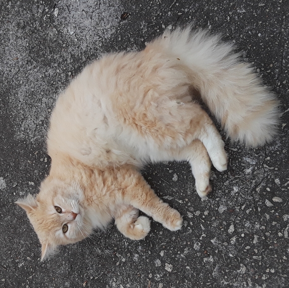 PLEASE SHARE SHARE - Picture 6 of 7